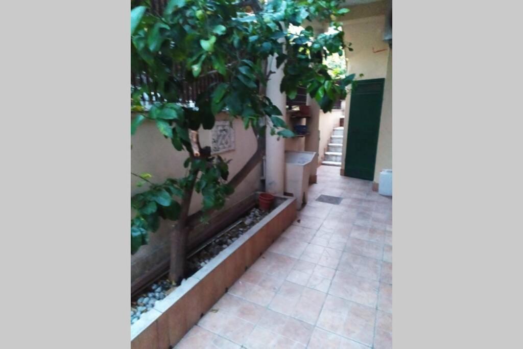 Appartement Appto Limone à Ostie Extérieur photo